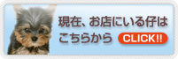 �����炩�猻�݂��X�ɂ���e�̈ꗗ���������������܂�